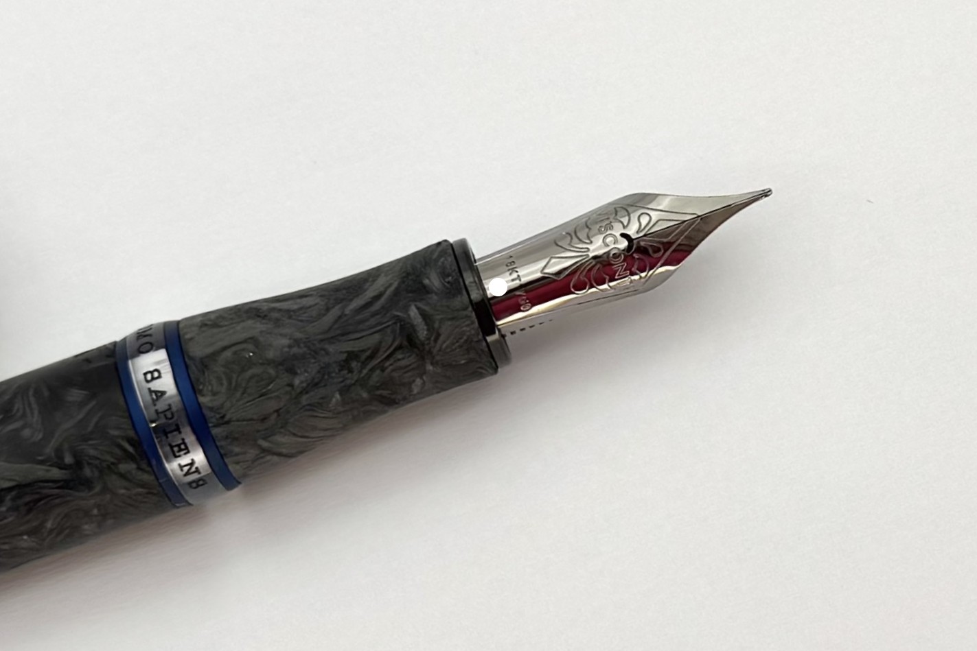 ViscontiLEHomoSapiensCarbonAbyssusFPp_I